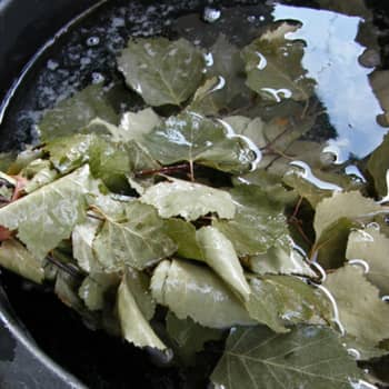 Metsäradio.: Aidon saunavastan abc