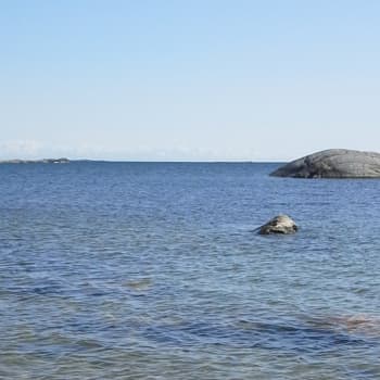 Tiedeykkönen: Itämerellä on toivoa, myrkyt ja ravinteet ovat laskussa