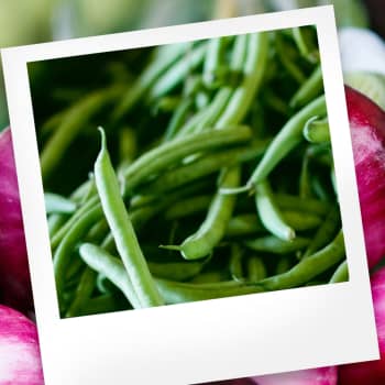 Makuasia: Härkäpapu ja kasvissyönti
