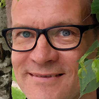 Metsäradio.: Koivun taikavoimat kaivetaan esiin Juhannuksena