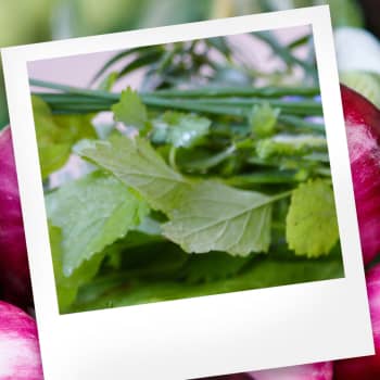 Makuasia: Yrtit ja ravintolan pyörittäminen
