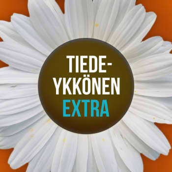Onnellisuusharjoituksia: Vatvomisesta eroon