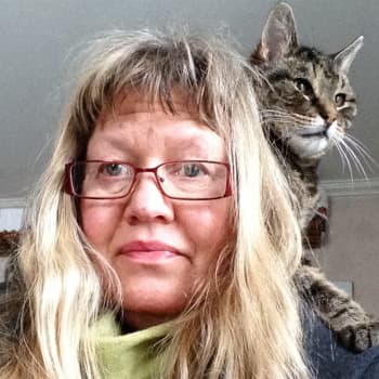 Om katter och krämpor