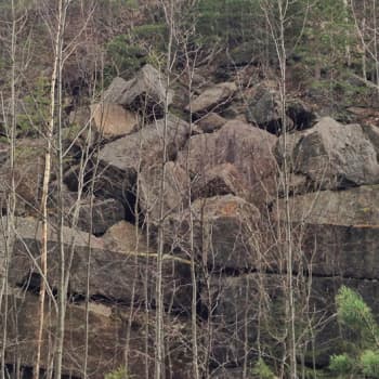 Metsäradio.: Louhikon luolat ja pesäonkalot