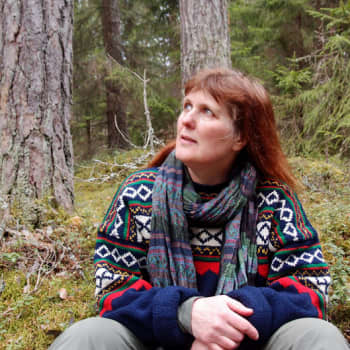 Radio Suomen Iltaohjelma: Metsä hoitaa mieltä