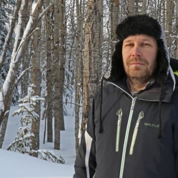 Metsäradio.: Käävät kertovat metsän arvoista