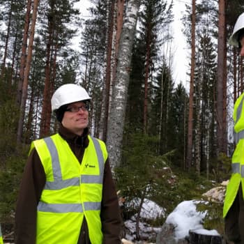 Metsäradio.: Tekopökkelöitä linnuille