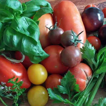 Miia Krause: Nautintoja neljältä: Raakakakut out, vege in