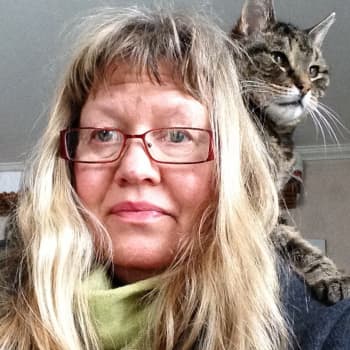 Dokumenterat: Om katter och krämpor