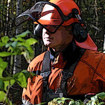 Metsäradio.: Metsäalan yrittäjien asema on vankistunut