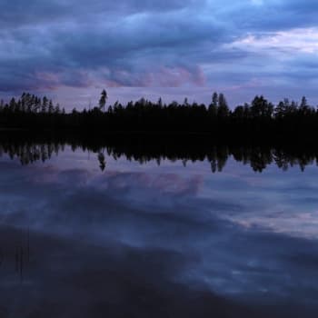 Luonto-Suomi.: Sininen hiljaisuus - luontoelämyksiä hämärän aikaan