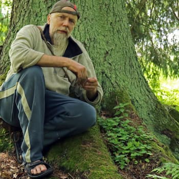 Metsäradio.: Hörtsänän unohdettu arboretum