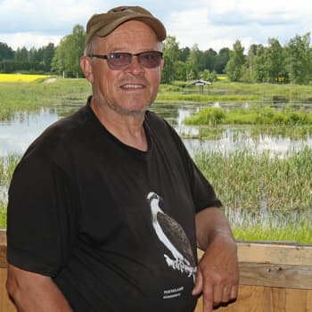 Metsäradio.: Pohtiolammen sääksikeskus