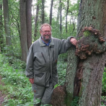 Metsäradio.: Miten Suomi sai metsänsä?