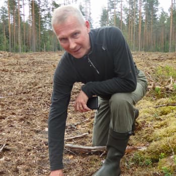 Metsäradio.: Monimuotoista metsänhoitoa