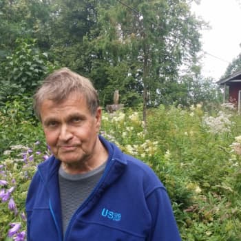 Kultakuume: Hannu Mäkelälle esineet ovat perheenjäseniä