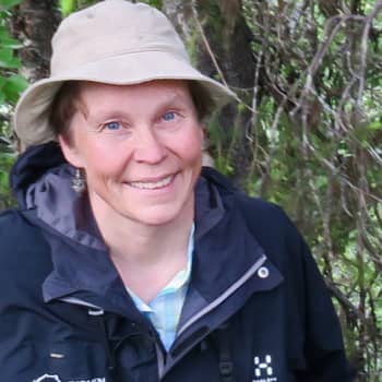 Metsäradio.: Oulangan kansallispuiston kesä lumoaa retkeilijän