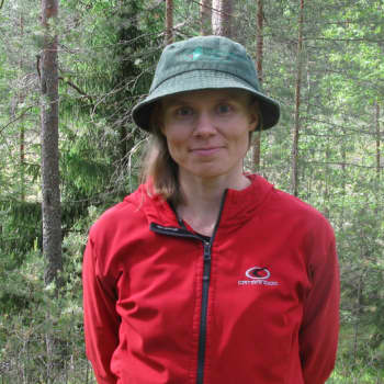 Metsän lumo
