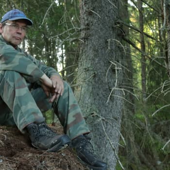 Metsäradio.: Lehtopöllöjä Ikaalisissa