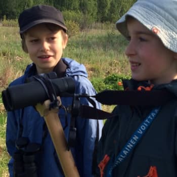 Radio Suomi Tampere: Viidesluokkalaiset lintubongarit kiipeävät torniin jo aamukuudelta