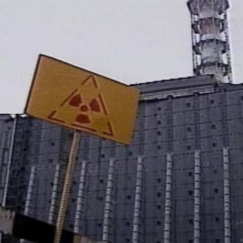 YLE Lahti: Tshernobylin lapset kävivät Lammilla vuonna 1993