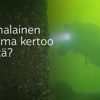 Radio Suomesta poimittuja: Marko Röhr toivoo tekoja järviluonnon puolesta
