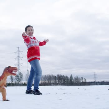 YLE Helsinki: Vantaan Jurase Park voi olla myös Jurapark tai Dinopark