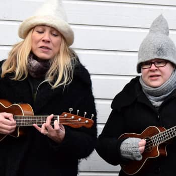 YLE Häme: Tuittulan Ukuleleorkesteri hurmaa Hauholla