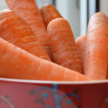 Ruokatreffit: Katusoittajan keittokirja: Pienelläkin budjetilla voi kokea olevansa varakas
