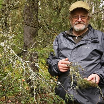 Metsäradio.: Pomokairan poromies Lauri Ukkola