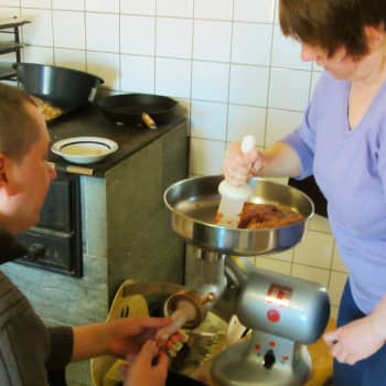 Rautajärvi, Pälkäne: Jäsenkorjaaja, makkaranteko, sekatavarakauppa