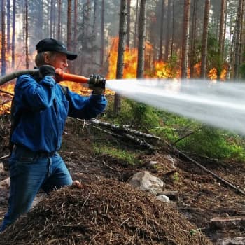 Metsäradio.: Metsää poltettiin Nuuksiossa