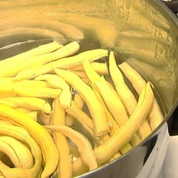 YLE Turku: Arno Kasvin opit herkullisten papujen valmistamiseen