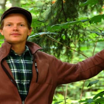 YLE Helsinki: Urbaani periferia on bloggaajan paratiisi