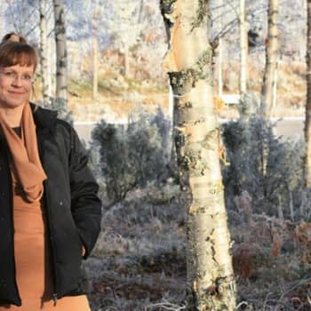 Viikon kirja: Sari Pöyliö:Pölynimurikauppias