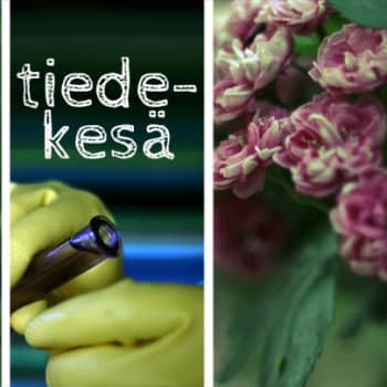 Tiedeykkönen: Tiedekesä: Naisen heinäkuu tutkija Pirkko Moisala