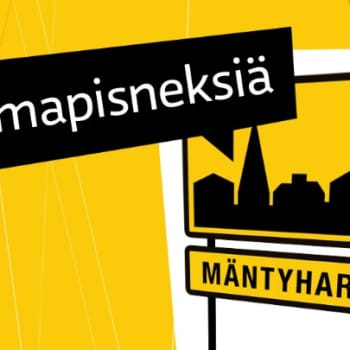Lomapisneksiä: Mäntyharju: Salmelan taidekeskus