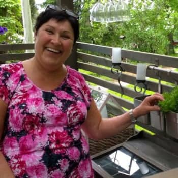 YLE Turku: Kesäkoti koivun katveessa