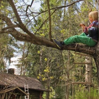 Minna Pyykön maailma: Luonto ja terveys