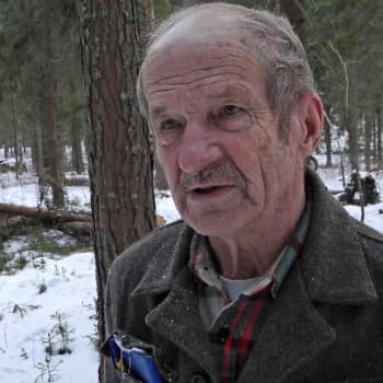 Metsäradio.: Viululla soiteltiin puita