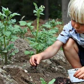 Luonto-Suomi.: Luonto-Suomen teemailta: maaperä kuhisee elämää