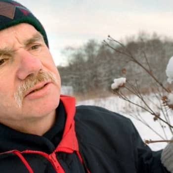 Luonto-Suomi.: Luontomatkailijan Suomi