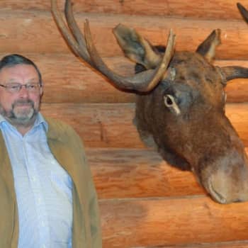 Yövieras: Metsästyksellä on pitkät perinteet
