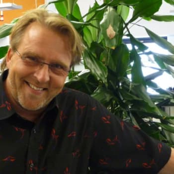 Yövieras: Joel Hallikainen osaa nyt rauhoittua