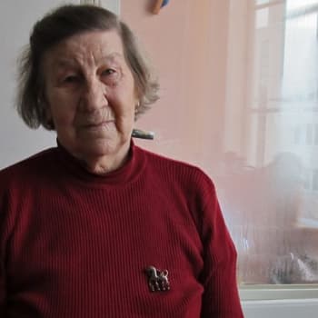 Minna Pyykön maailma: Ikuisen ikävän linnut