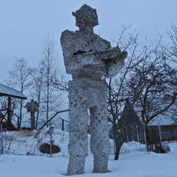 Metsäradio.: Tuohiukko kestää talven tuiskut