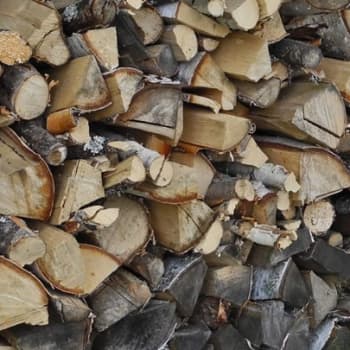 Metsäradio.: Halkomottien tekemisen vimma oli kova sota-aikana