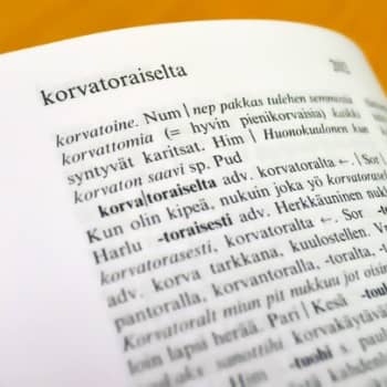 Teemaillat: Murreilta