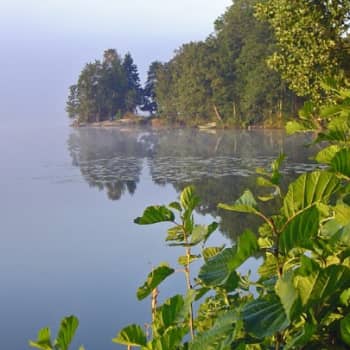 Luonto-Suomi.: Luonto-Suomen kesä