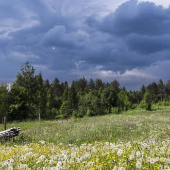 Teemaillat: Lentävä lainapeite ja kolme aurinkoa taivaalla - kuuntelijoiden kysymyksiä ja havaintoja kesäsäästä